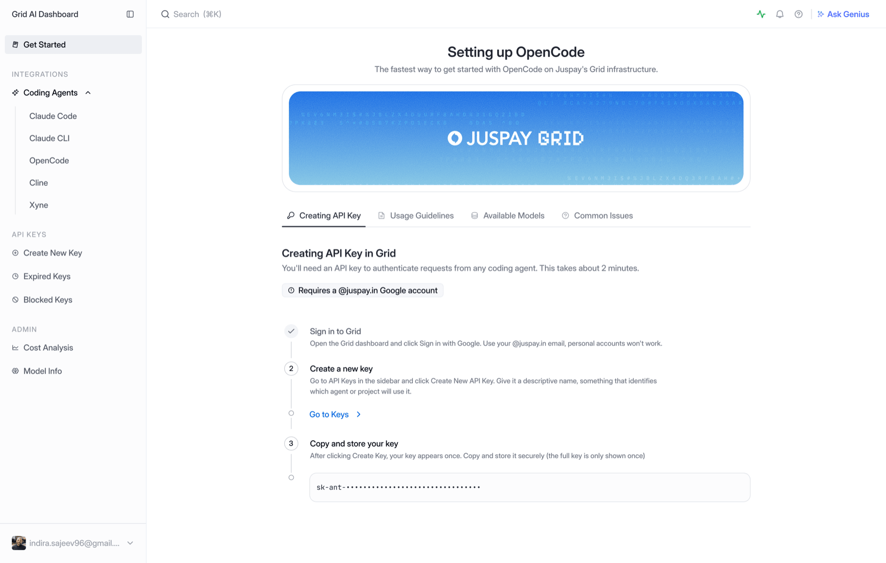 Setting up OpenCode guide with step-by-step instructions for creating an API key